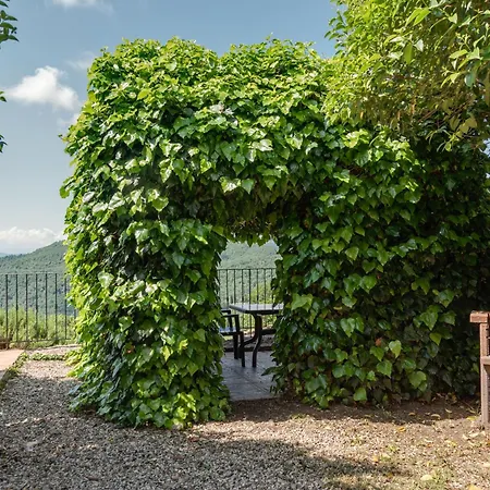 Universal Harmony - Balestruccio Feriegård