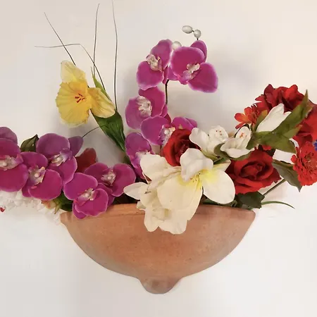 Feriegård Universal Harmony - Balestruccio *