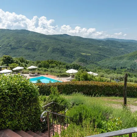 Universal Harmony - Balestruccio Feriegård Dicomano