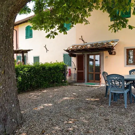 Universal Harmony - Balestruccio Dicomano